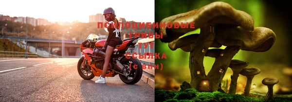 кокаин премиум Алексеевка