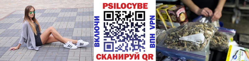 маркетплейс наркотические препараты  Донской  Галлюциногенные грибы GOLDEN TEACHER 